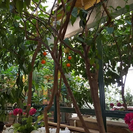 Boyuguzel Termal 3* Bursa