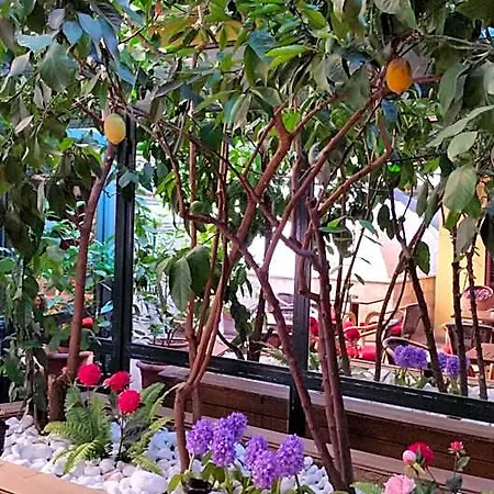 Hotel Boyuguzel Termal Bursa