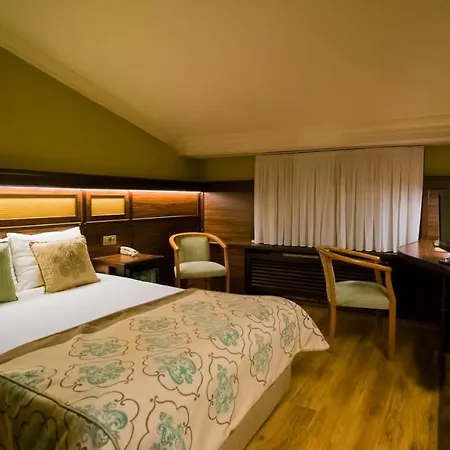 Hotel Boyuguzel Termal 3*
