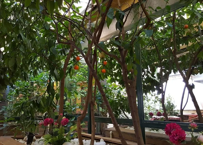 Boyuguzel Termal 3* Bursa